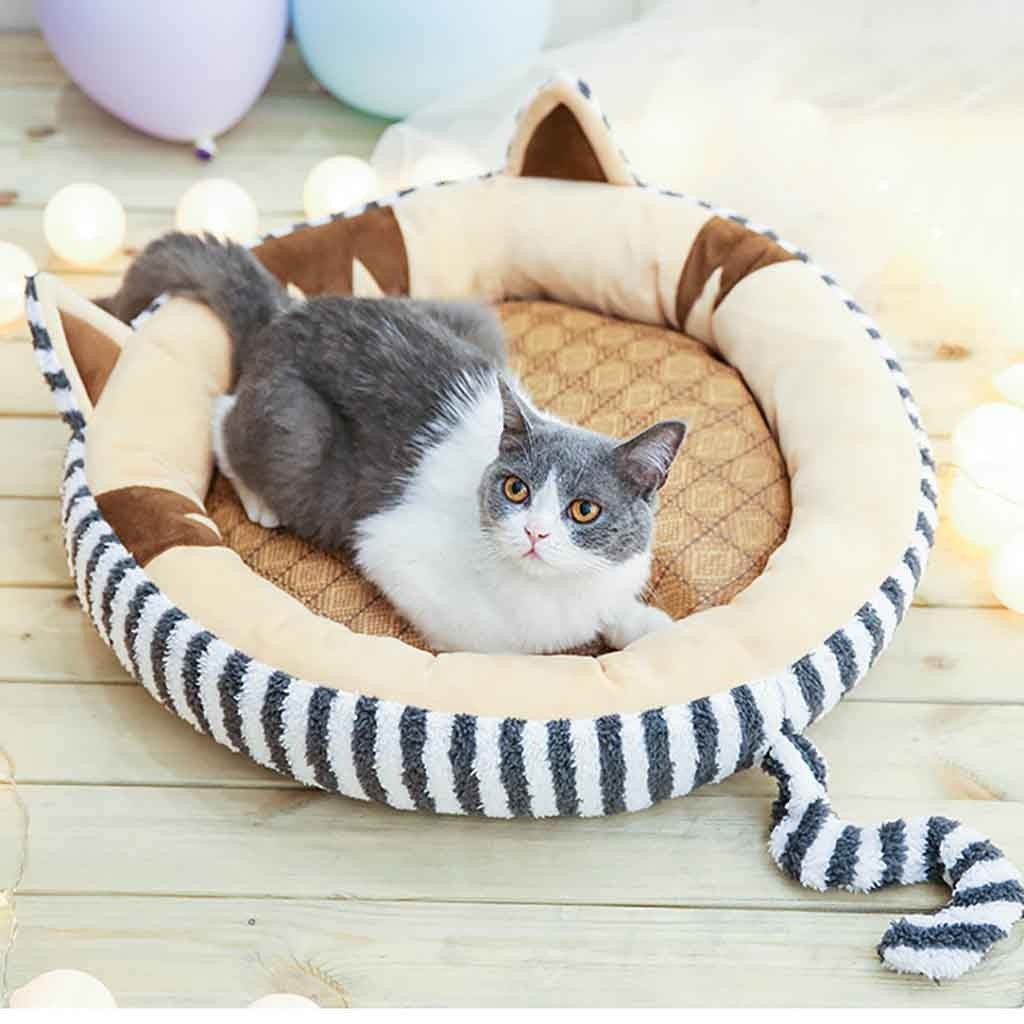 Non-Removable Safe & Comfortable Pets Bed