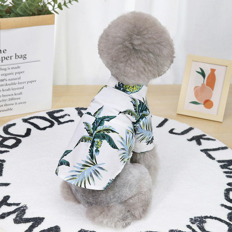 Trendy Summer Collection: Cotton Pet Shirt