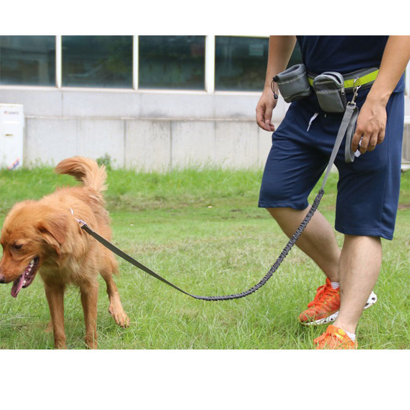 Adjustable Hands Free Pets Leash