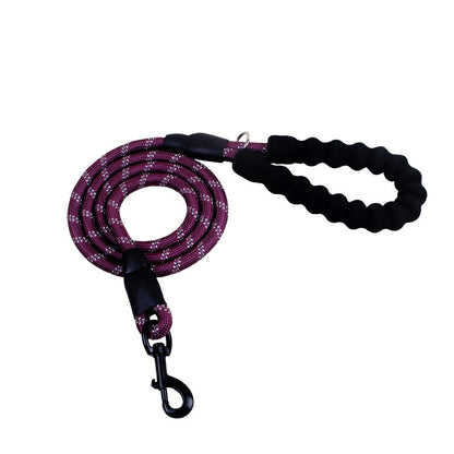 Reflective Nylon Leash For Walking Training Pets