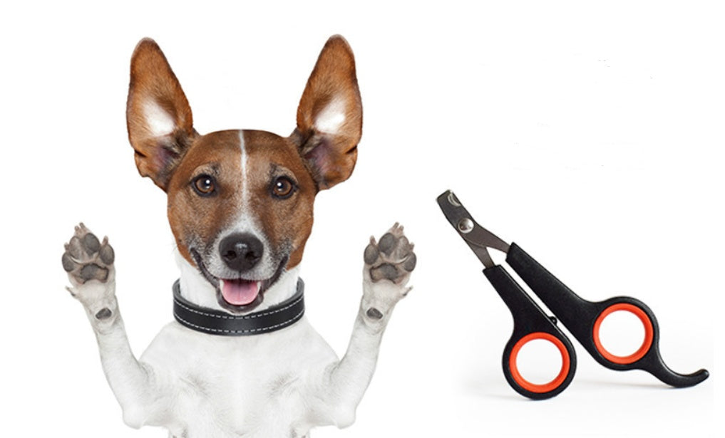 High-Quality Dog Nail Clipper Easy & Safe to Use