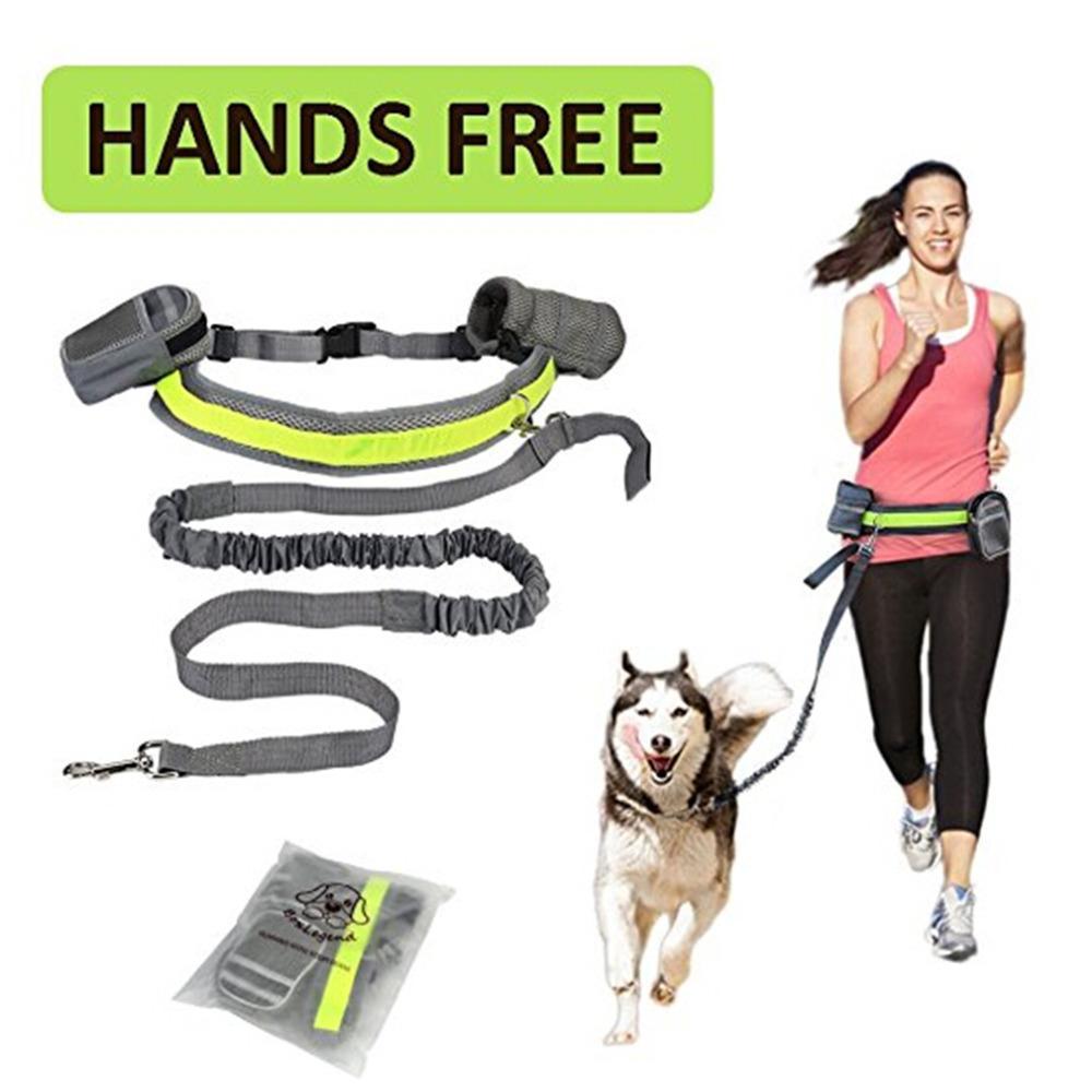 Adjustable Hands Free Pets Leash