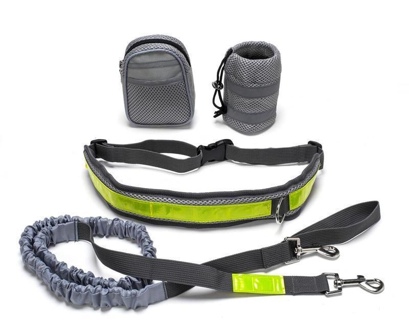 Adjustable Hands Free Pets Leash