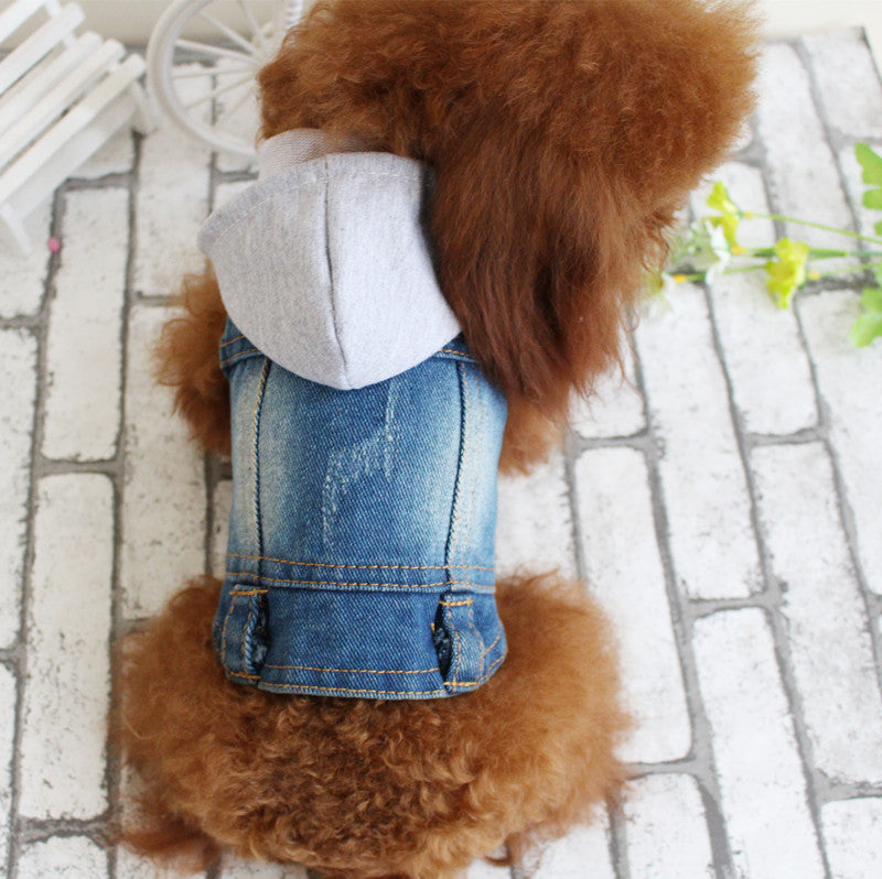 Designer Dog Denim Jacket Spring Collection