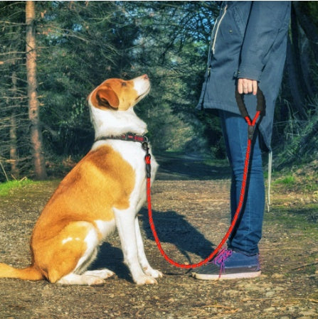 Reflective Nylon Leash For Walking Training Pets