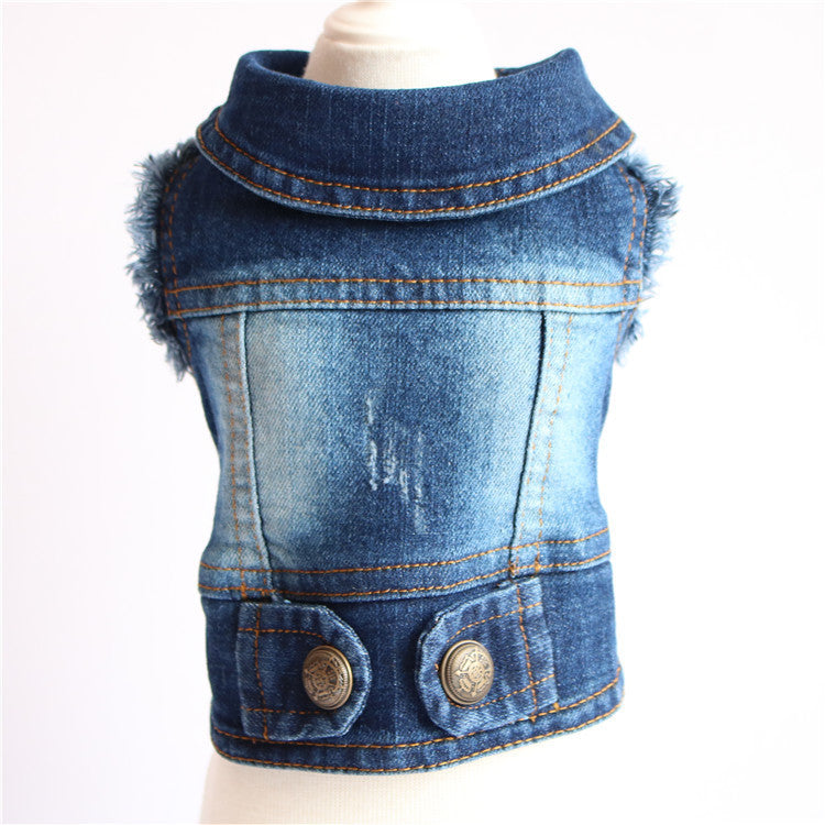 Designer Dog Denim Jacket Spring Collection