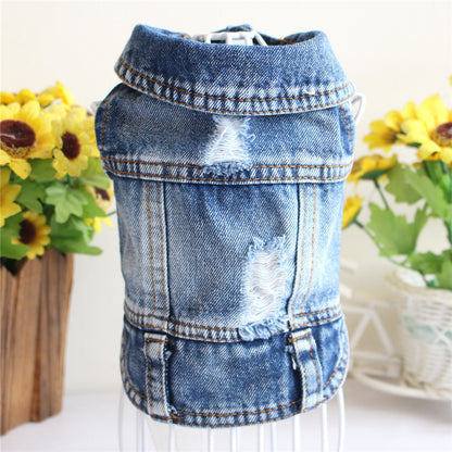 Designer Dog Denim Jacket Spring Collection