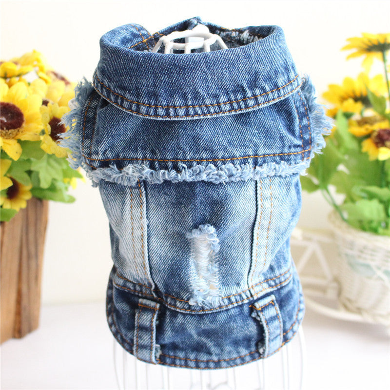 Designer Dog Denim Jacket Spring Collection