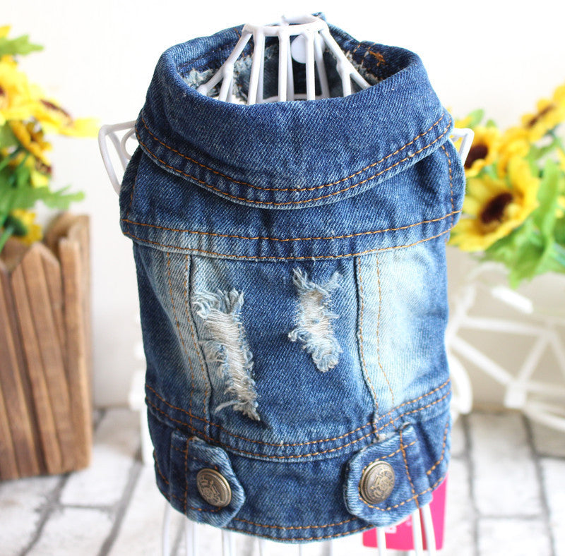 Designer Dog Denim Jacket Spring Collection