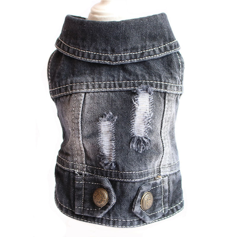 Designer Dog Denim Jacket Spring Collection