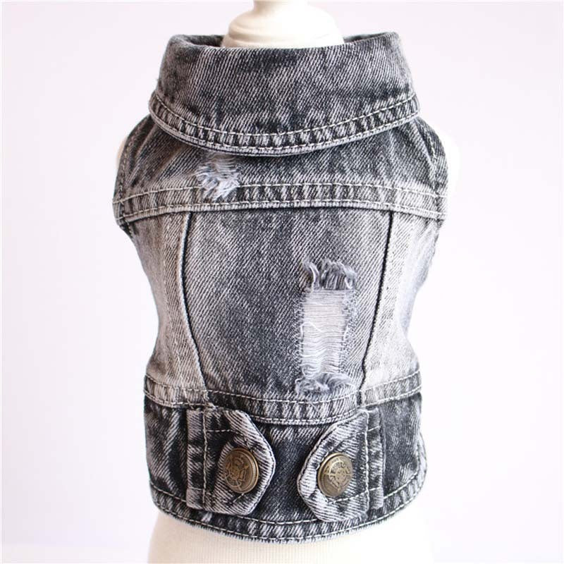 Designer Dog Denim Jacket Spring Collection